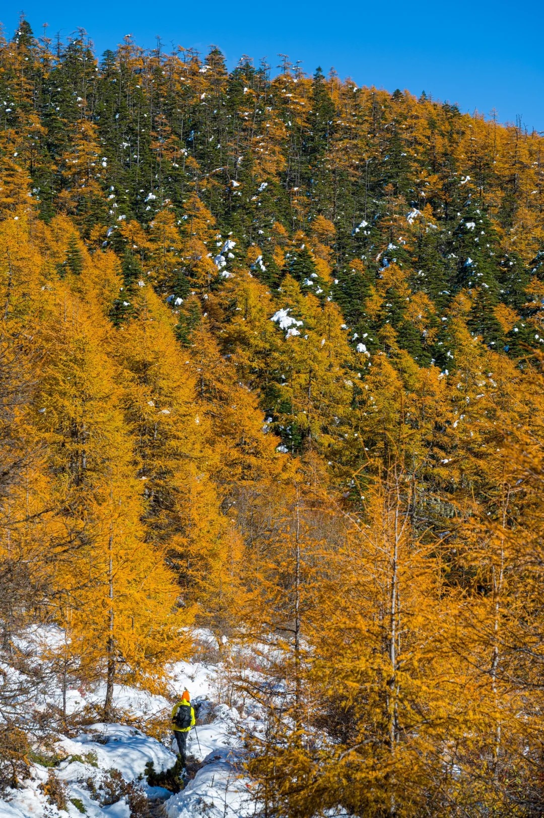 下雪后的阿布吉措直接封神_6_云南徒鹰📷_云南-香格里拉-来自52tours 我爱旅游网